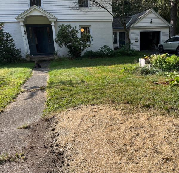 Down to Earth Stump Grinding