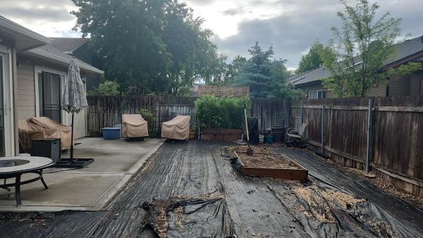 Sawtooth Tree Service
