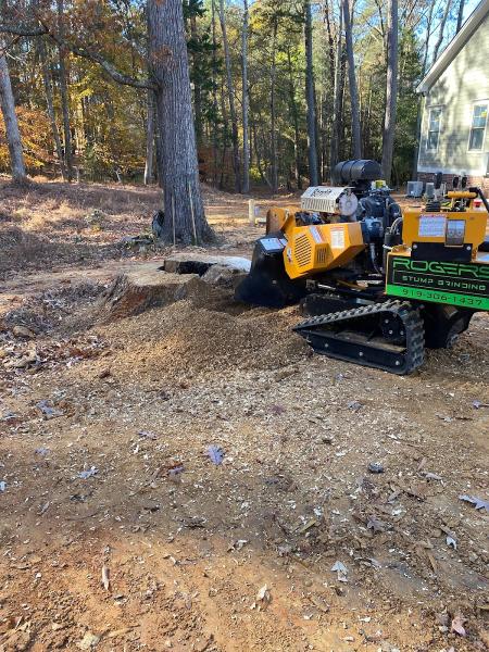 Rogers Stump Grinding