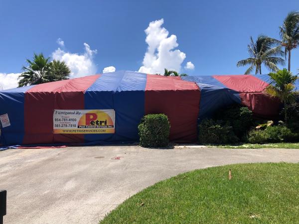 Petri Pest Control Services