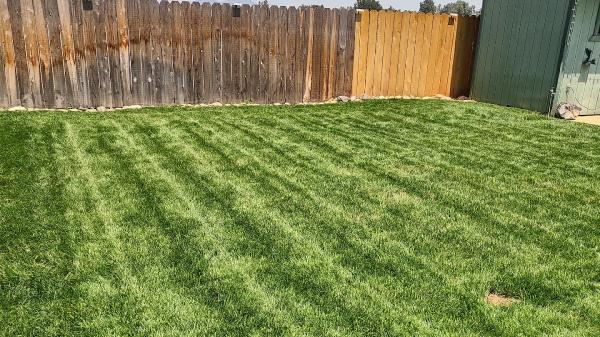 Londono Lawncare