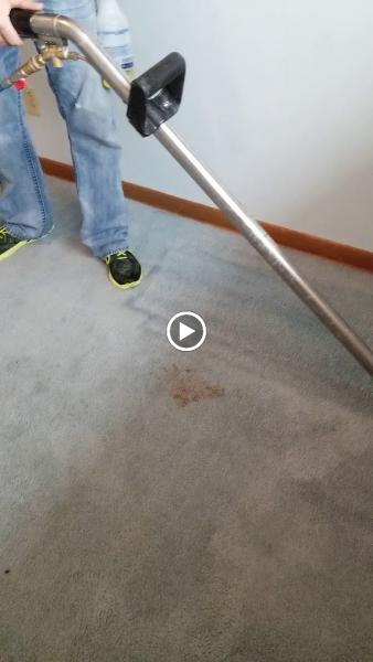 Mysteree Machine Carpet Cleaning