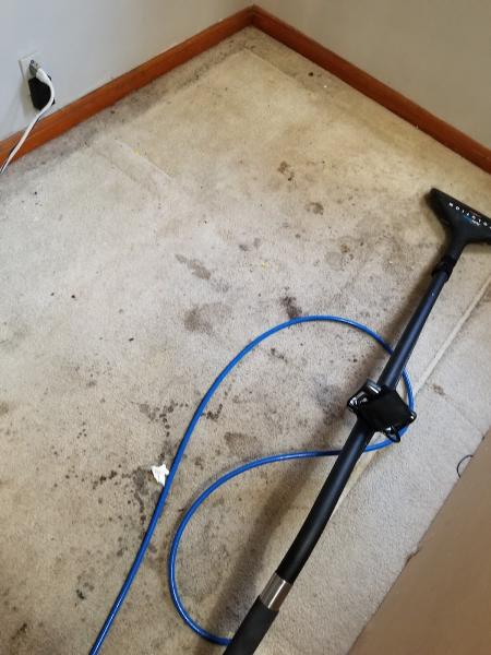 Mysteree Machine Carpet Cleaning