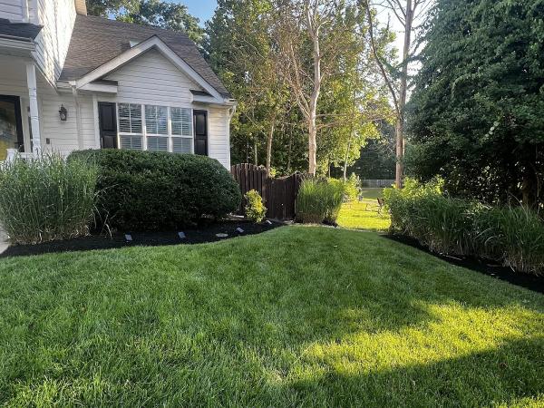 Jose Landscaping LLC