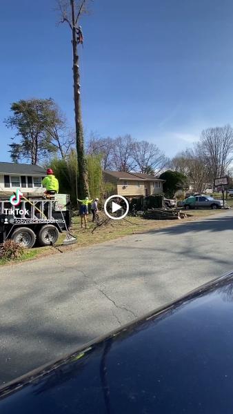 Jose Landscaping LLC