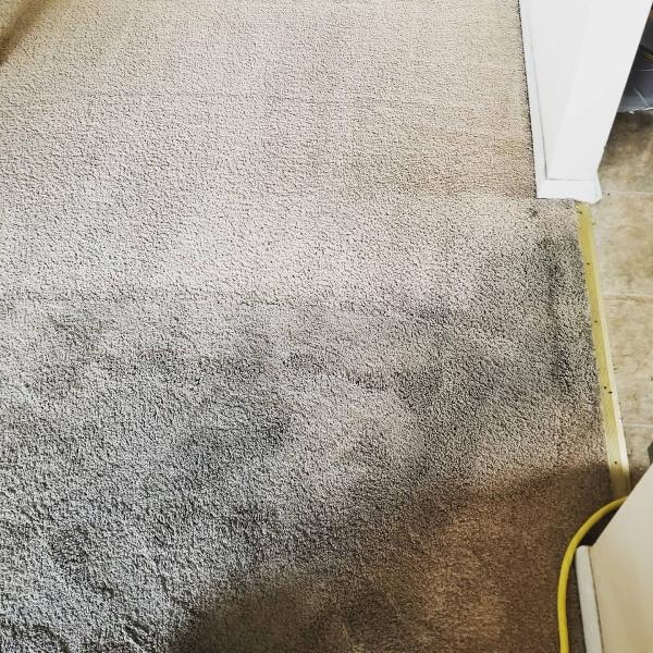 Five Star Carpet Service