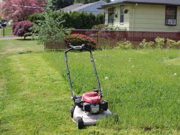 Sunshine Lawn Care & Landscape
