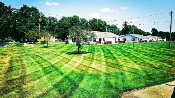 All Pro Lawn Care
