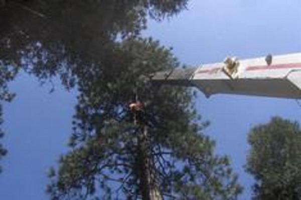Poseidon Valley Tree Service