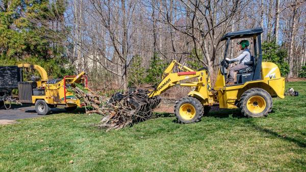Freedom Tree Service
