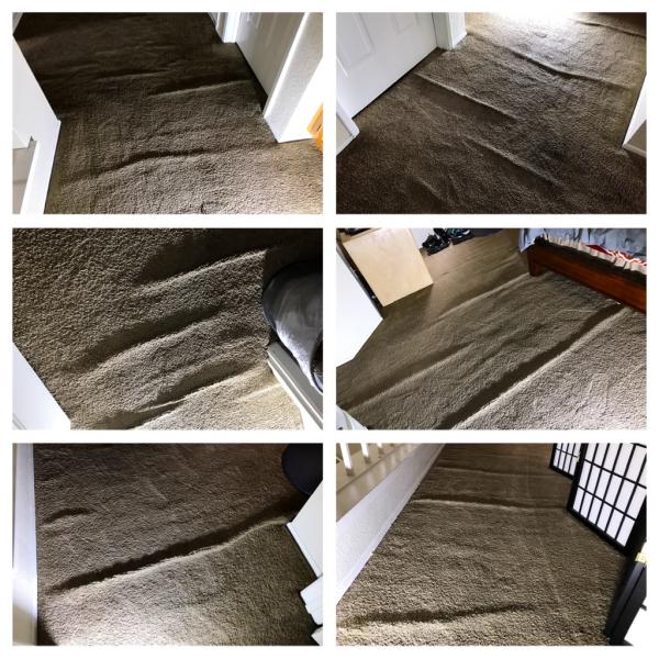 Ferber Carpet Service