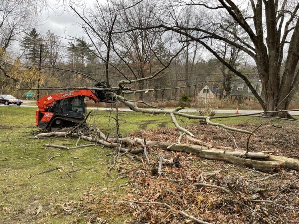 Earth Works Sustainable