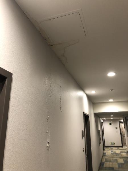 Same Day Mold Testing Inc