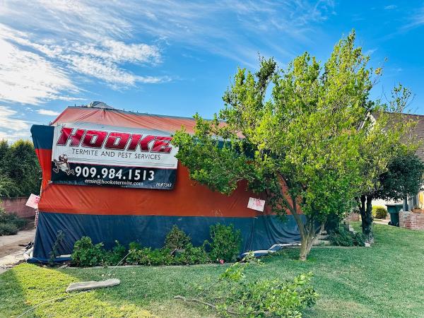 Hooke Termite & Pest Services