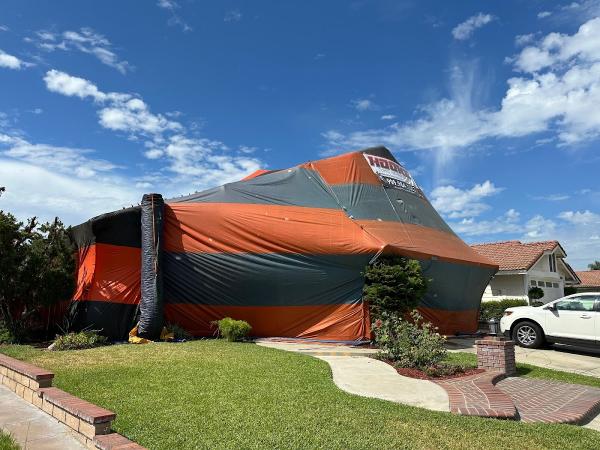 Hooke Termite & Pest Services