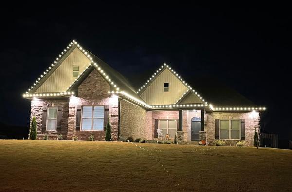 Alabama Lawn Management