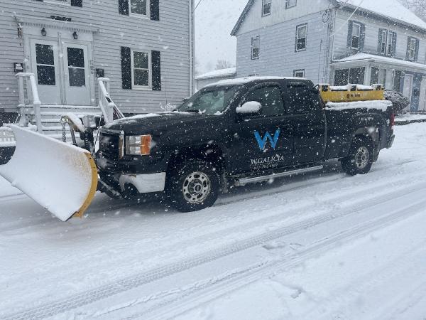 W. Galicia Landscaping Inc