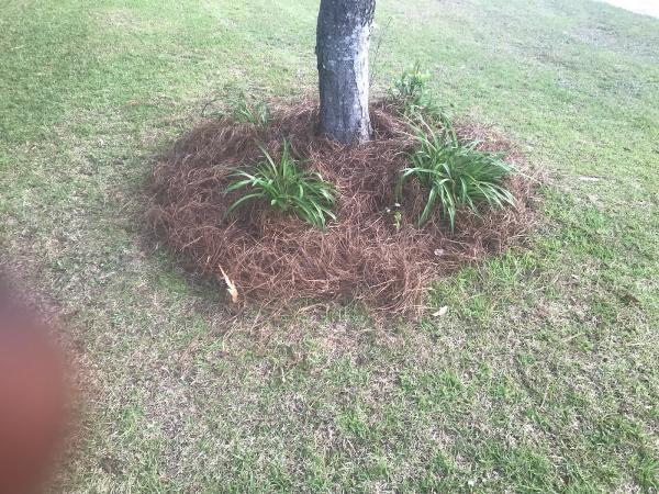 Arthur's Lawn Care and Pressure Washing