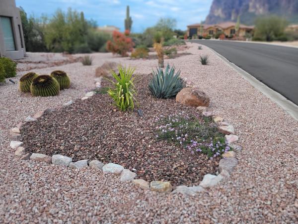 Griffin's Desert Scapes Inc