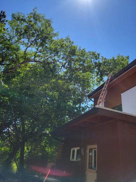 Shaeffer Tree Solutions LLC