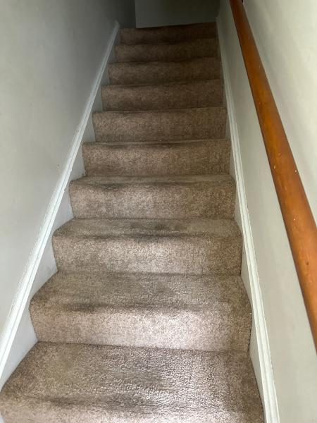 UCM Carpet Cleaning Suitland