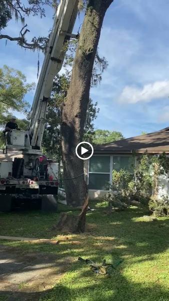Asap Crane and Tree Service LLC