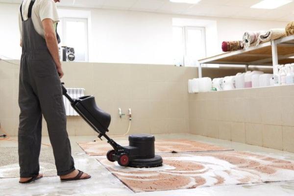 New Day Carpet Cleaning