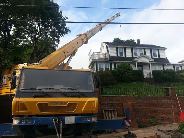 Middlesex Tree Service