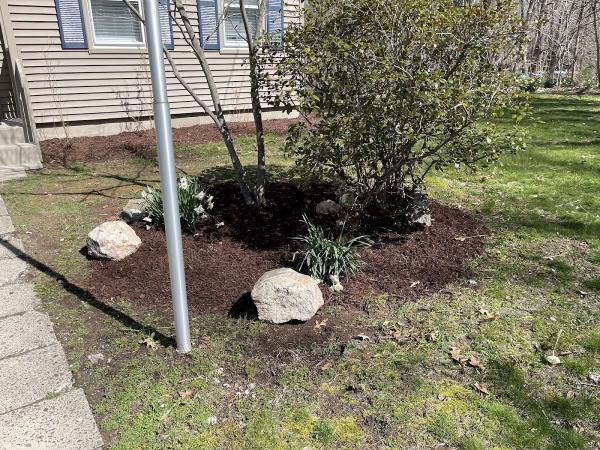 First Class Landscaping & Tree Service