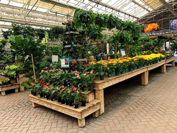 Hicks Nurseries