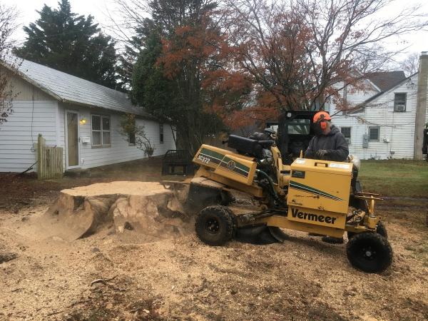 Beaver Tree Inc.