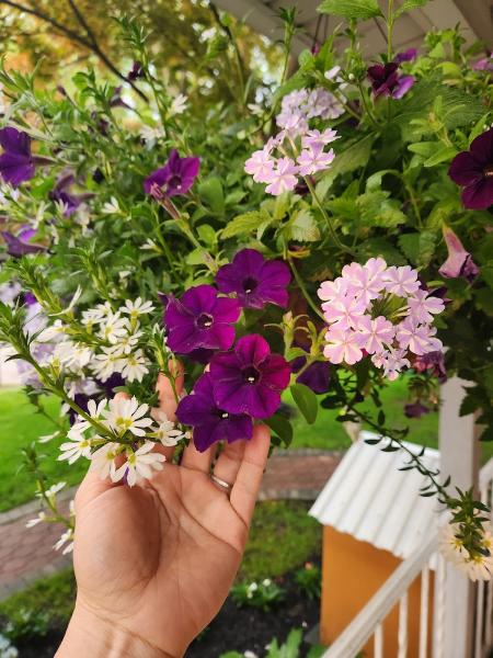 Navarro Landscaping & Design
