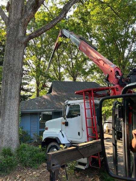 Choice Tree Service