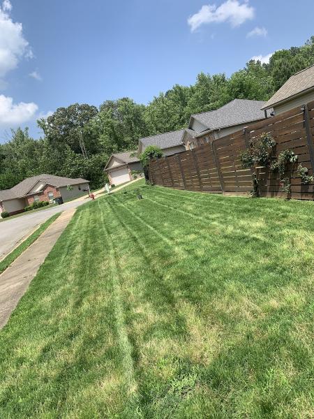 Easy On the Green Lawn Care