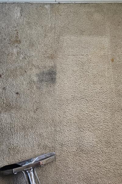 Hub City Carpet Care