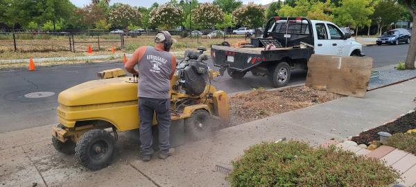 Affordable Stump Grinding
