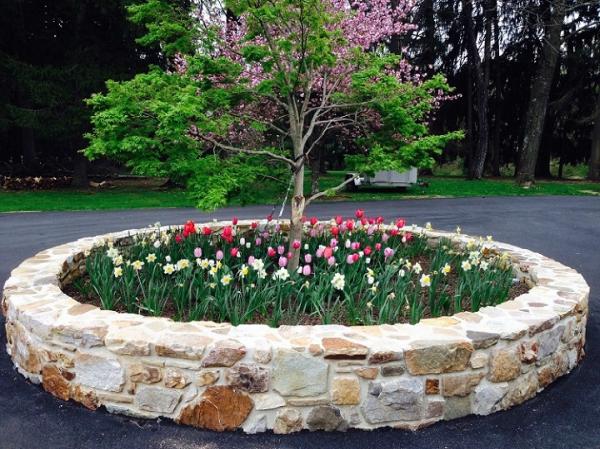 Wooley's Landscaping