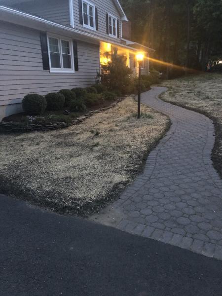 Y.O. Landscaping Painting & Tree Service
