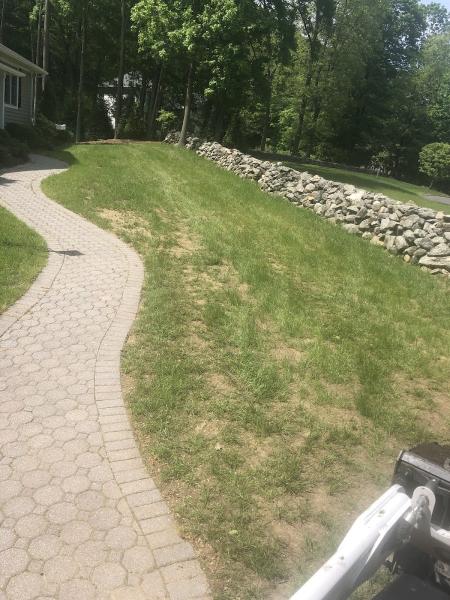 Y.O. Landscaping Painting & Tree Service