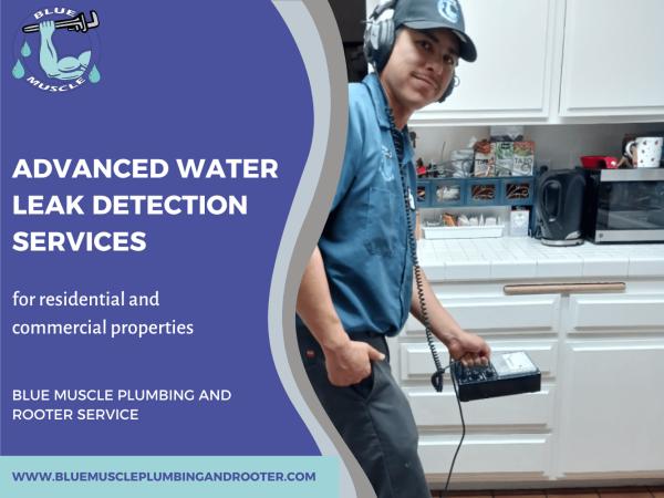 Blue Muscle Plumbing and Rooter Service