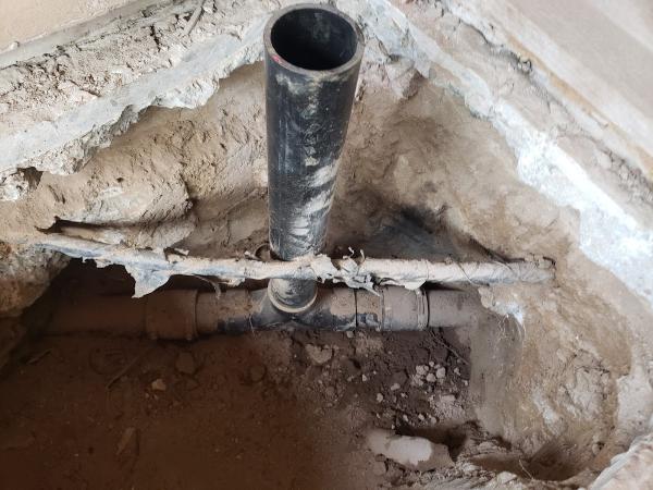Blue Muscle Plumbing and Rooter Service