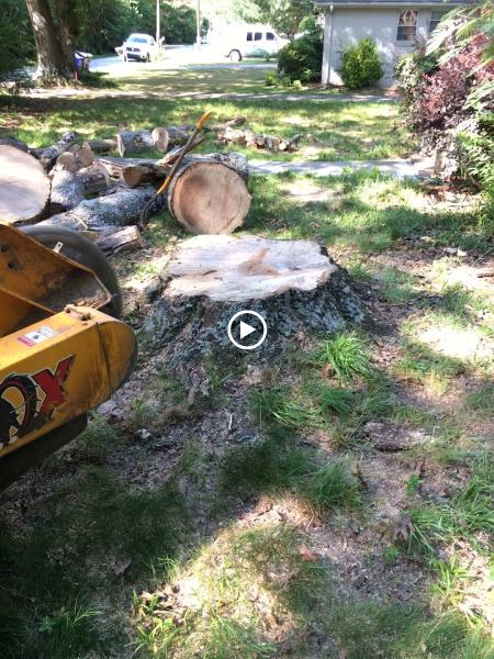 Stumpro