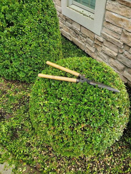 O'Hara Landscaping