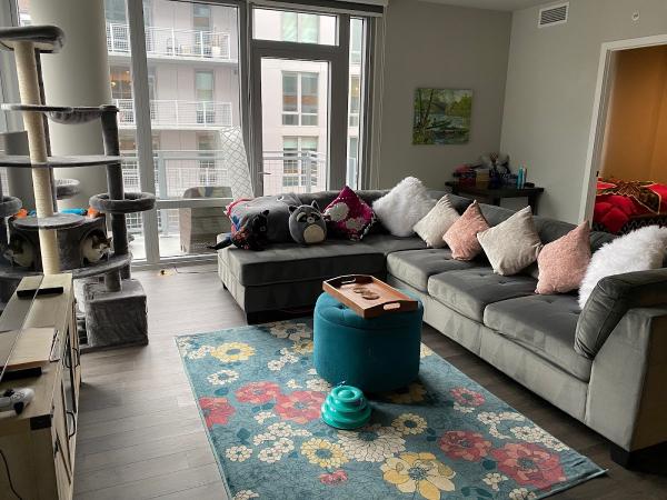 Spotless Cleaning Services
