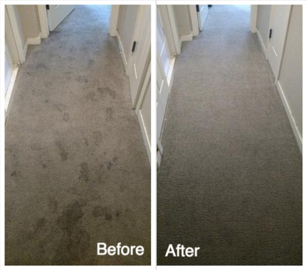 A Step Above Carpet Cleaning