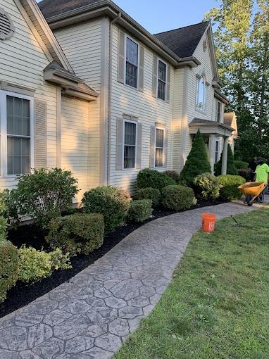Avalanche Tree and Landscaping LLC