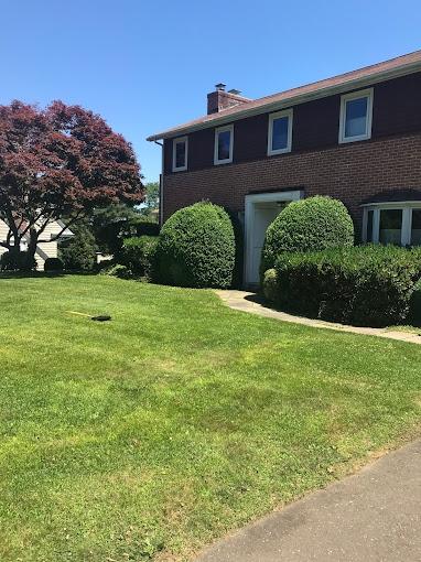 Avalanche Tree and Landscaping LLC