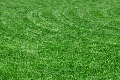 Benjamin Lawn & Landscape
