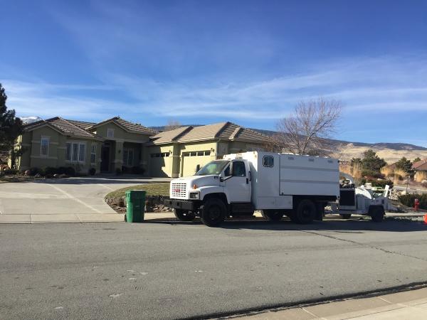Silver State Tree Company