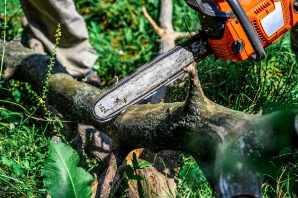 Tree Service Montgomery